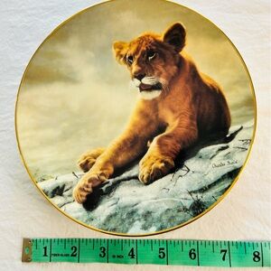 Porcelain collector plate with gold trim. Lion cub